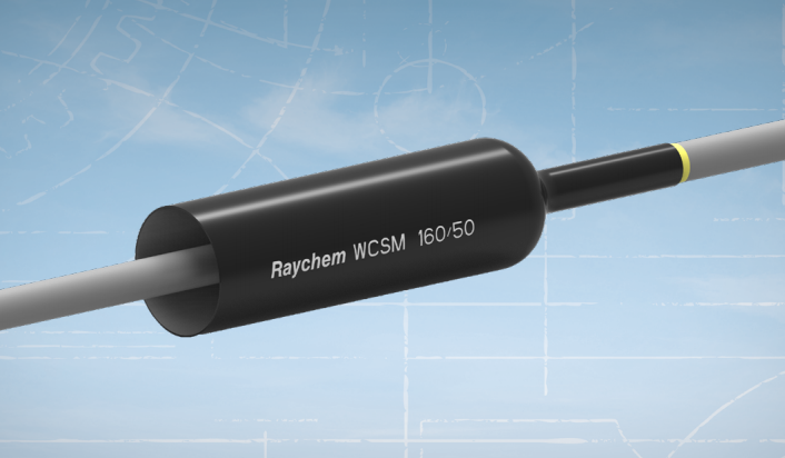 Raychem瑞侃厚壁熱縮管